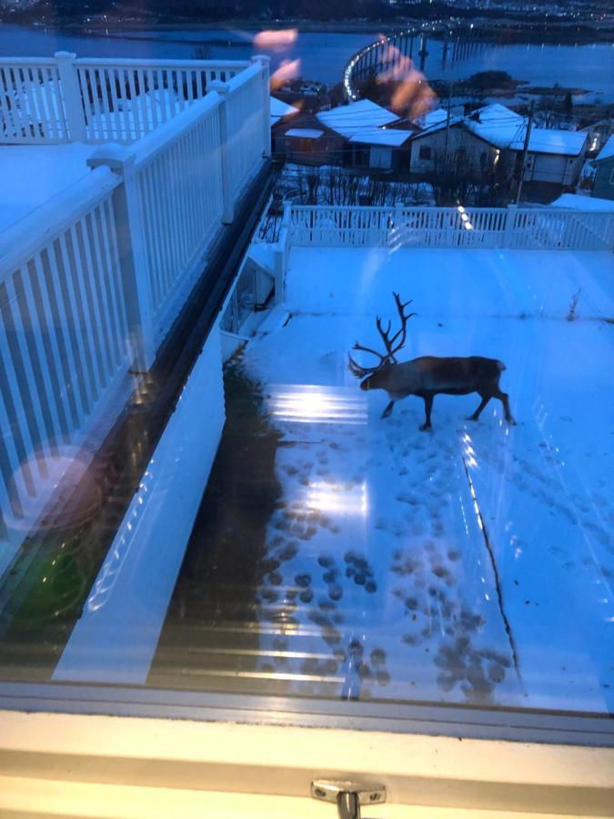 Moderne Og Trivelig Leilighet, Med Unik Utsikt Tromso Luaran gambar