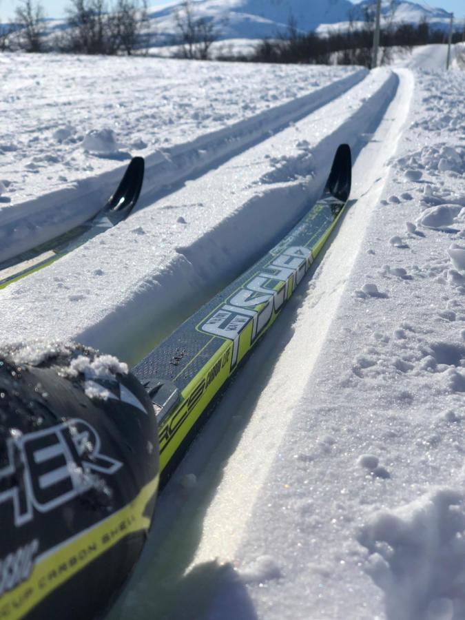 Moderne Og Trivelig Leilighet, Med Unik Utsikt Tromso Luaran gambar